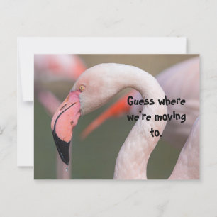 CARTE POSTALE GUESS WHERE RELOCATION CARD