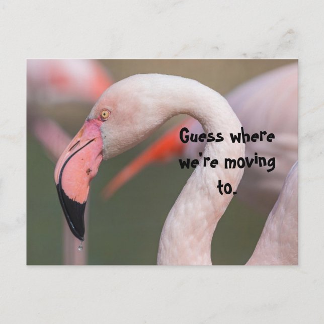 CARTE POSTALE GUESS WHERE RELOCATION CARD (Devant)