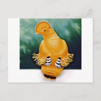 Carte Postale Guianan Cock-of-the-rock