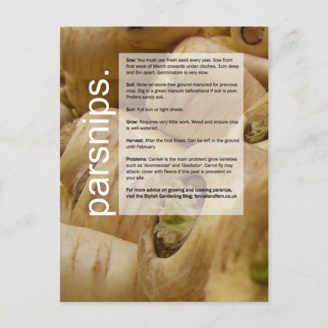 Carte Postale Guide de bonne croissance : Artichauts et parsnips (Devant)