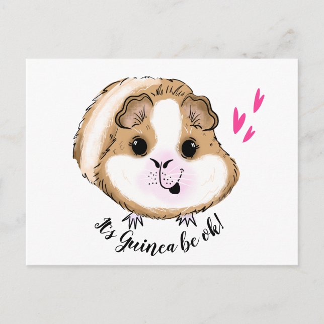 Carte Postale Guinée cochon c'est la guinée ok (Devant)