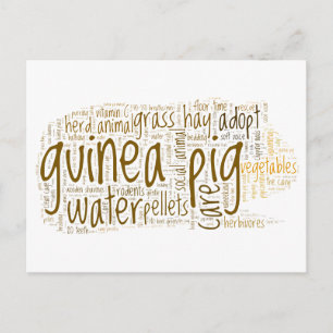 Carte Postale Guinée Pig Care Tips Word Cloud