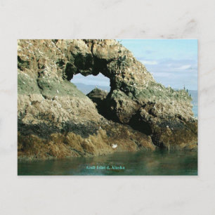 Carte Postale Gull Island, Alaska
