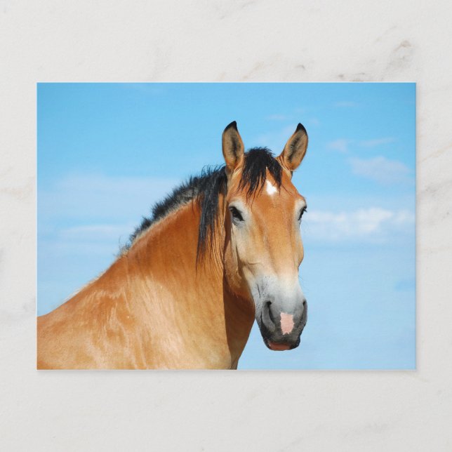 Carte postale Gulliver Headshot (Devant)