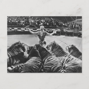 Carte Postale Gunther Gebel-Williams 1969