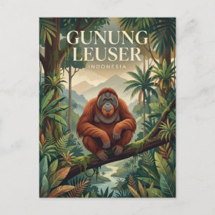 Carte Postale Gunung Leuser Indonésie