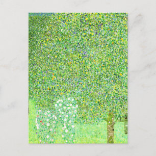 Carte Postale Gustav Klimt, rosiers sous les arbres