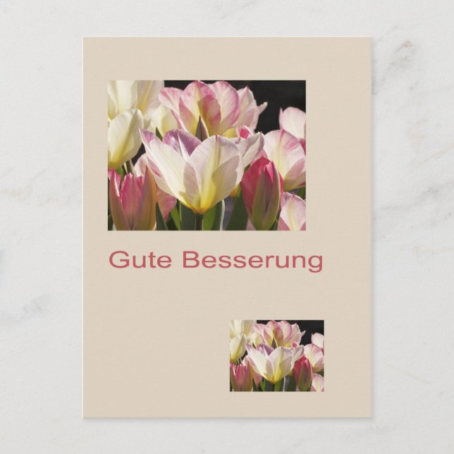 Carte Postale Gute Besserung Postkarte (Devant)
