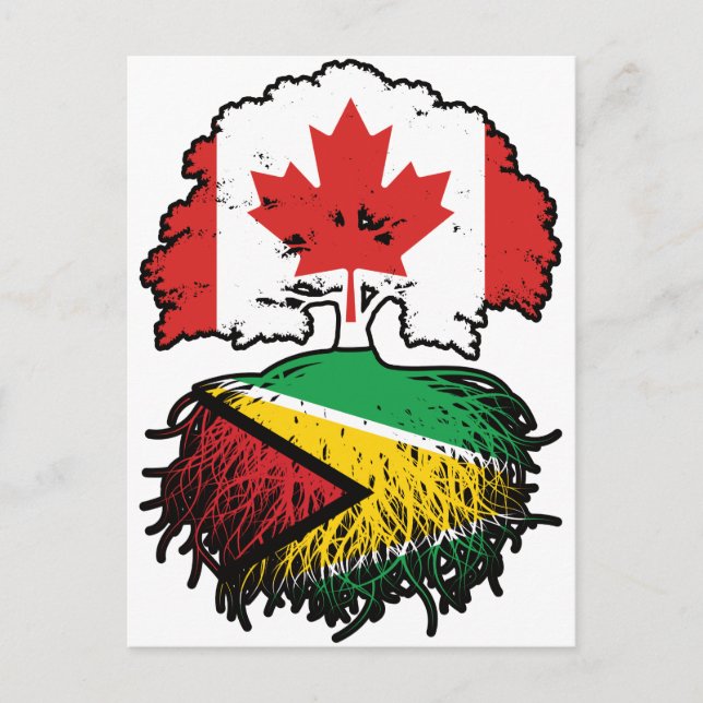 Carte Postale Guyana Canadien Guyanais Canada Racines Arbre Drap (Devant)