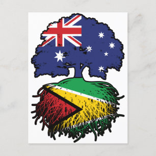 Carte Postale Guyane Australie Australie racine arbre