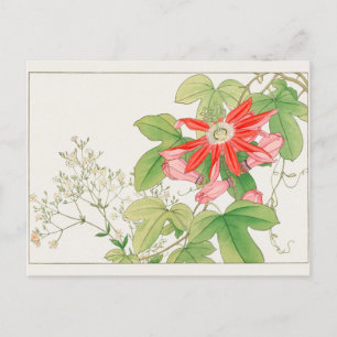 Carte Postale Gypsophile, Passion fleur par Tanigami Konan