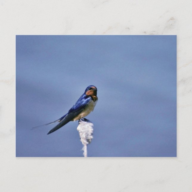 Carte Postale Hachette (Devant)