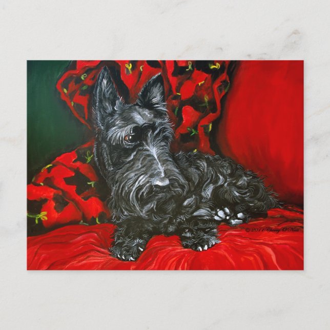 Carte Postale Haggis the Scottish Terrier (Devant)