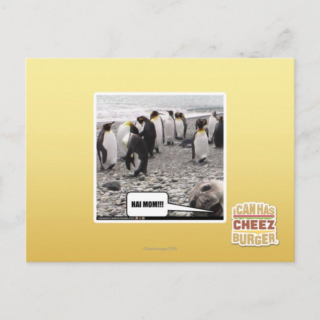 CARTE POSTALE HAI MOM ! ! ! (Devant)