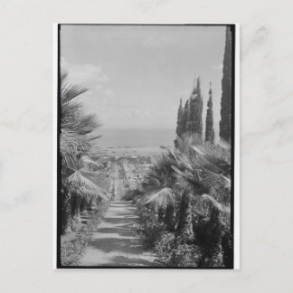 Carte Postale Haïfa - du mont Carmel, années 1920