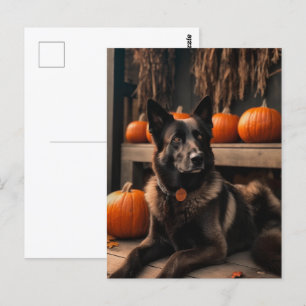 Carte Postale Halloween berger allemand