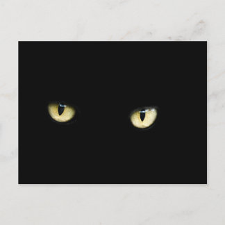 Carte postale Halloween Black Cat Eyes