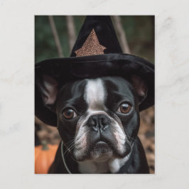 Carte postale Halloween Boston Terrier
