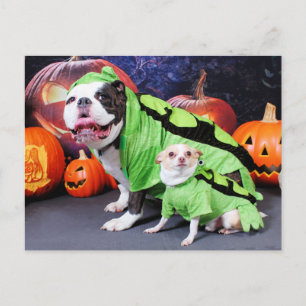 Carte Postale Halloween Chien-Chien-Chien Spike - Chihuahua Gizm