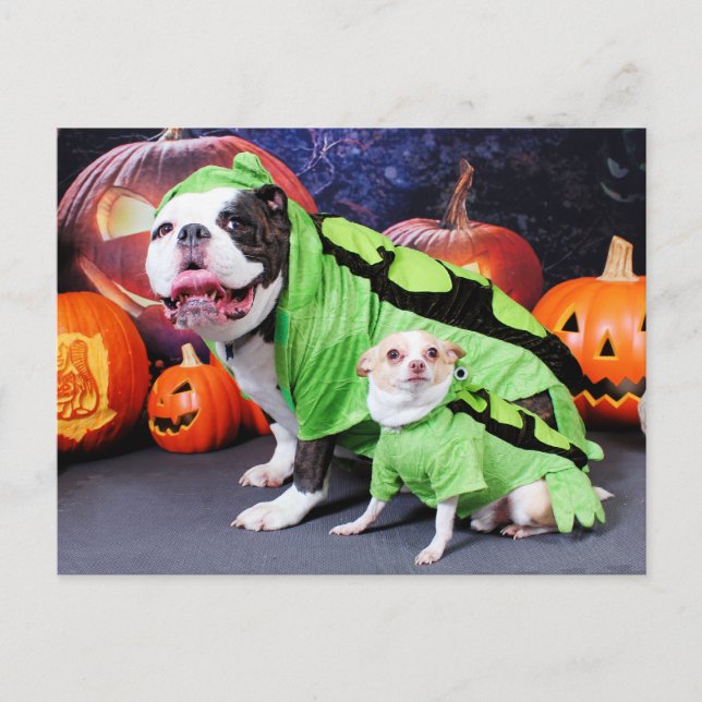 Carte Postale Halloween Chien-Chien-Chien Spike - Chihuahua Gizm (Devant)