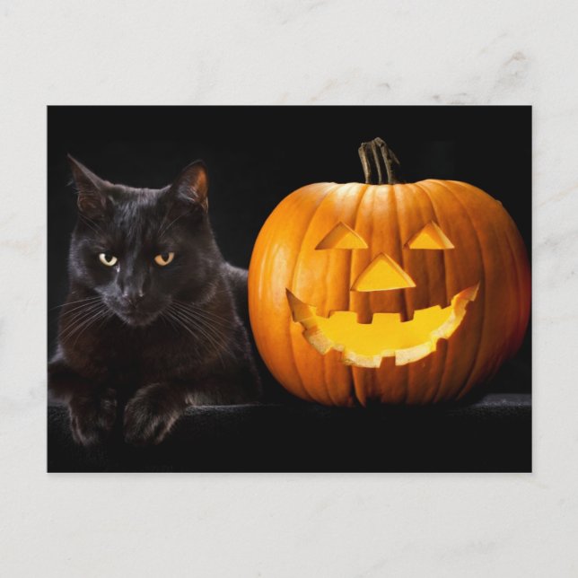 Carte Postale Halloween citrouille et chat noir (Devant)