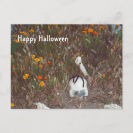 Carte Postale Halloween déco faux squelette à Marigolds