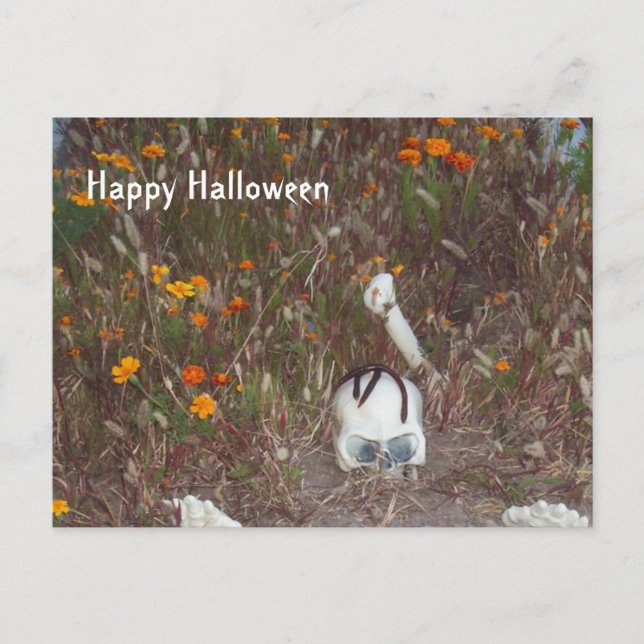 Carte Postale Halloween déco faux squelette à Marigolds (Devant)