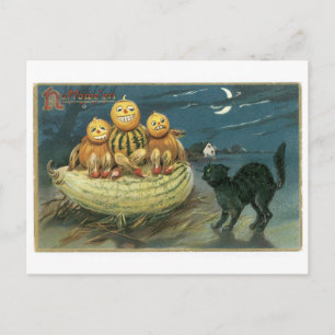 Carte Postale Halloween démodé, citrouilles et chat noir