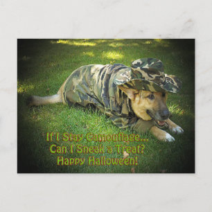 Carte Postale Halloween Dog in Camouflage