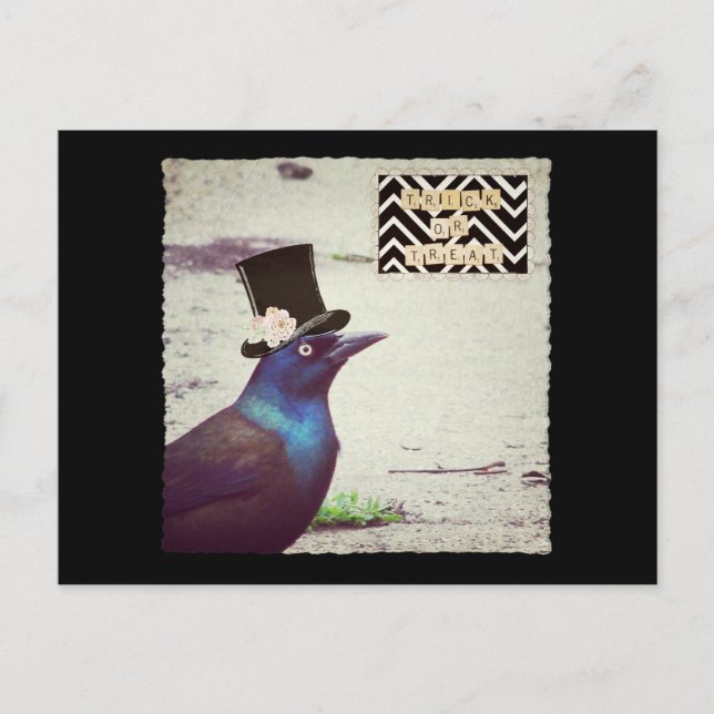 Carte Postale Halloween Grackle (Devant)