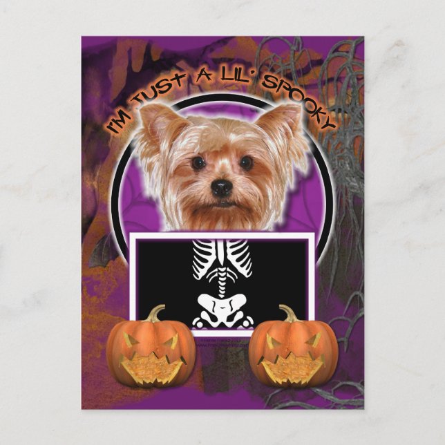 Carte Postale Halloween - Juste un Lil Éffrayant - Yorkie (Devant)
