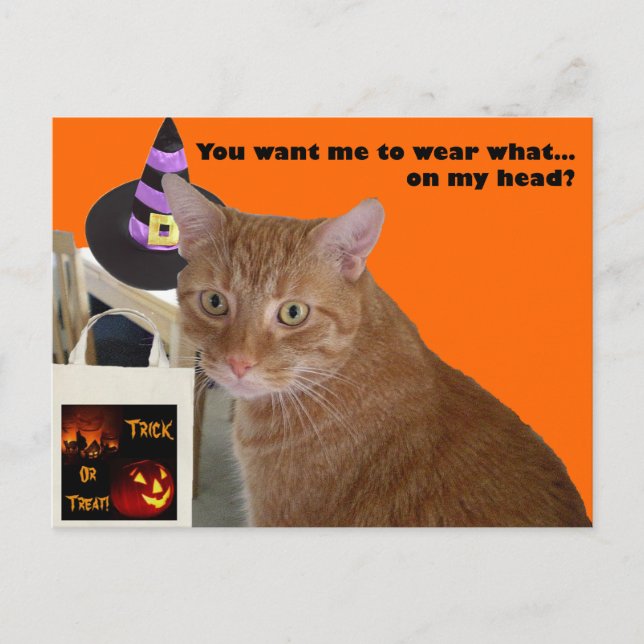 Carte Postale Halloween Kitty - Portez quoi (Devant)