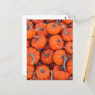 Carte Postale Halloween Mini Citrouille Automne Automne Motif Ph