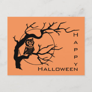 Carte postale Halloween Orange & Chouette Noire