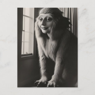 Carte postale Halloween pour animaux de compagnie 