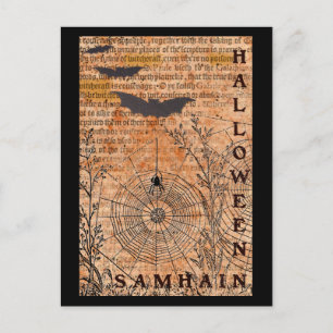 Carte Postale Halloween Samhain Spider Webs