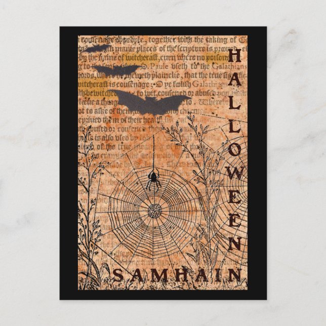 Carte Postale Halloween Samhain Spider Webs (Devant)