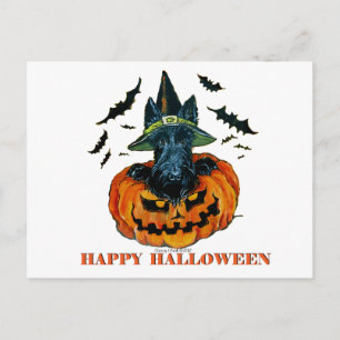 Carte Postale Halloween Scottie