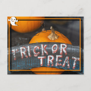 Carte postale Halloween "Trick or Treat"