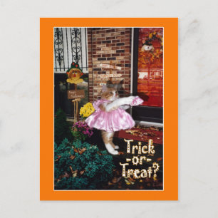 Carte postale Halloween Trick ou Treat Kitty