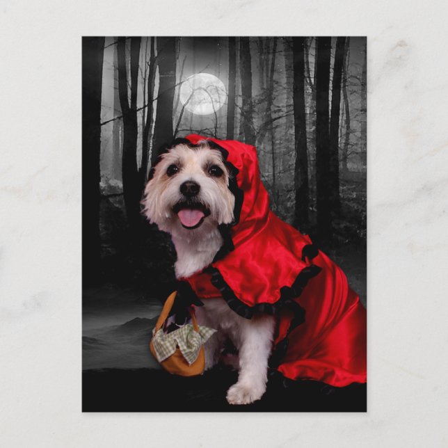 Carte Postale Halloween - Westie - Dame (Devant)