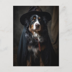 Carte postale Halloween Witch Bernese Mountain Dog