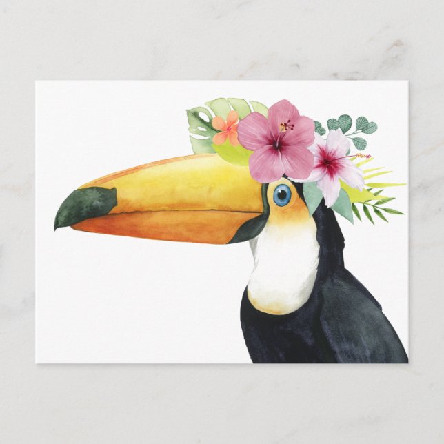 Carte Postale Halo tropical - Toucan (Devant)