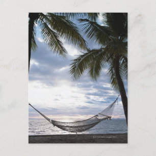 Carte Postale Hammock