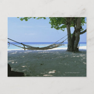 Carte Postale Hammock 2