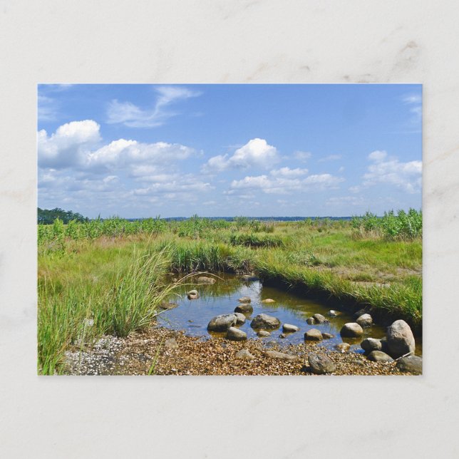 Carte postale Hammonasset (Devant)