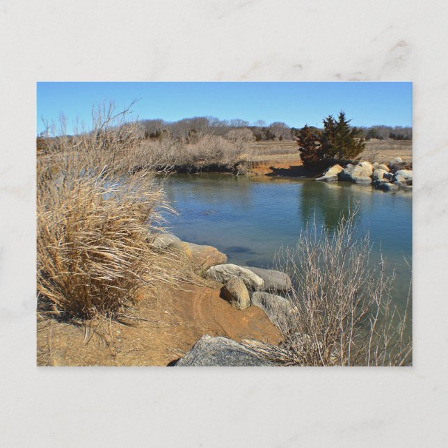 Carte postale Hammonasset (Devant)