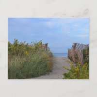 Carte postale Hammonasset