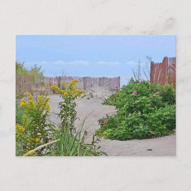 Carte postale Hammonasset Beach (Devant)