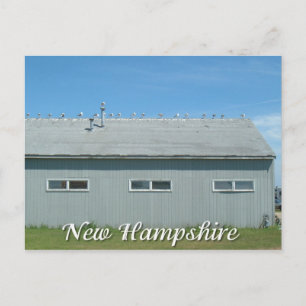 Carte Postale Hampton Beach, New Hampshire Seagull